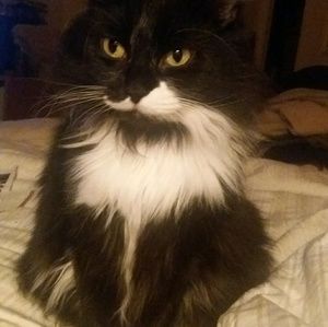 Meet your Posher, Sela